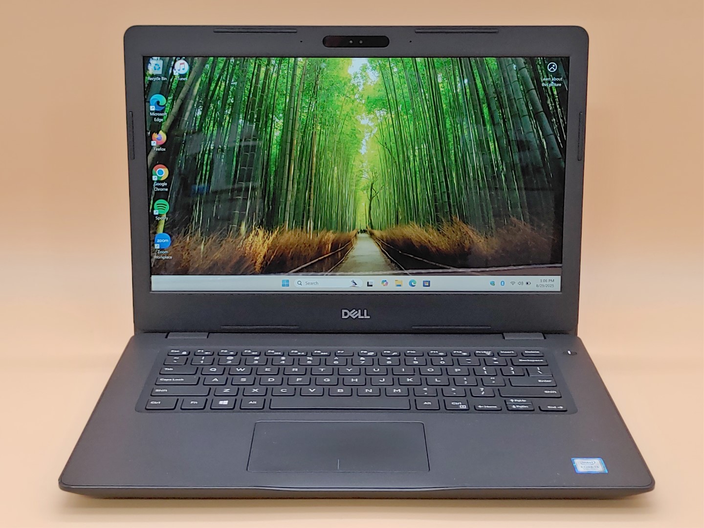 Dell Latitude 3490 14" Touch i3-7130U✔8GB✔240GB SSD✔Win11Pro✔ *NO A/C* **READ**