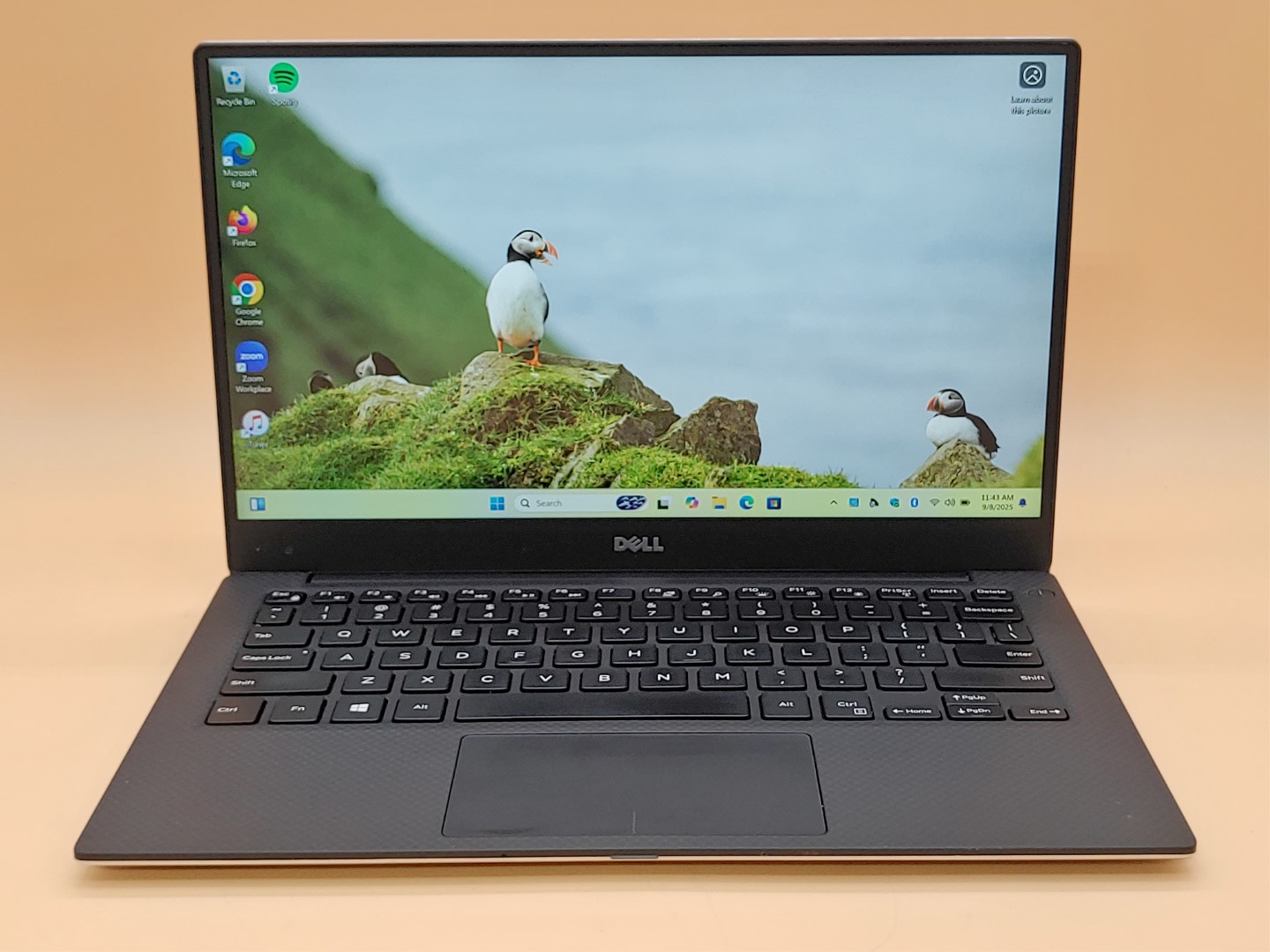 Dell XPS 13 9350 13.3" Intel i5-6200U✔4GB RAM✔256GB SSD✔Win11Home✔*NO A/C***READ